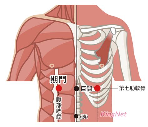 旗門穴|【旗門穴】從旗門穴找到期門，解鎖身體健康寶藏